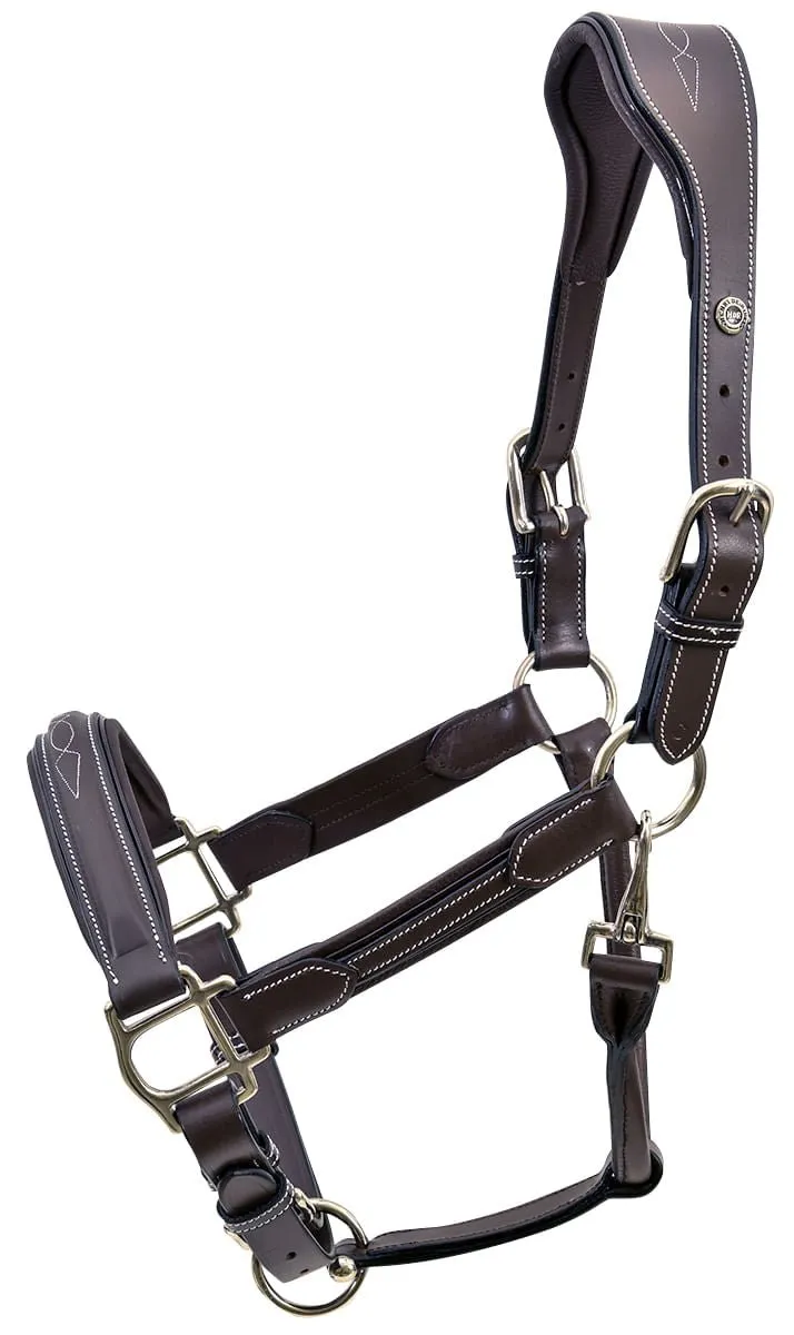 HDR Stress Free Fancy Stitch Leather Halter