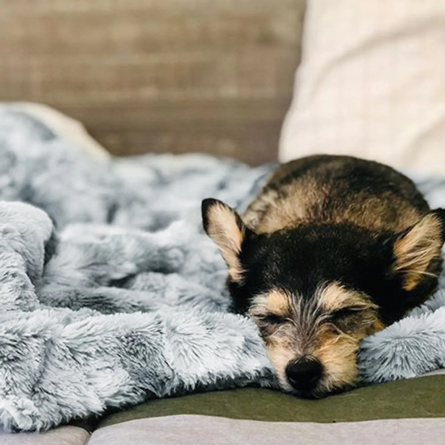 Luxury Faux Fur Throw Blanket