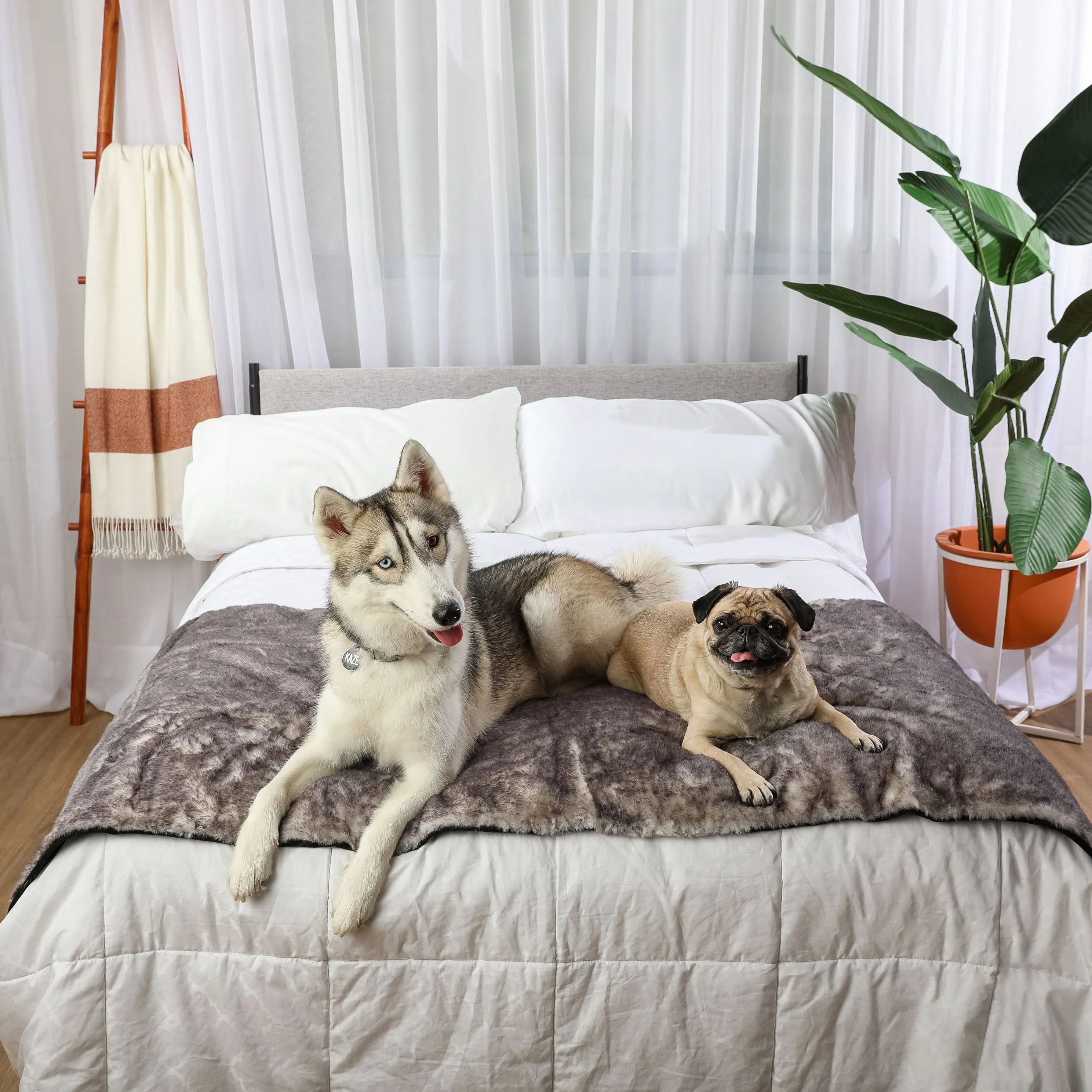 PupProtector™ Luxe Waterproof Bed Runner - Ultra Soft Chinchilla